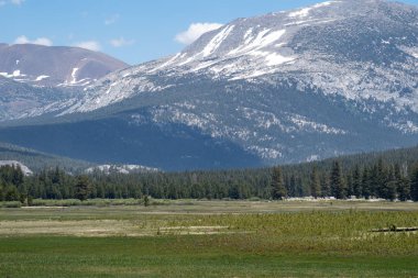 Famous view of Tuolumne Meadows in Yosemite National Park on a s clipart