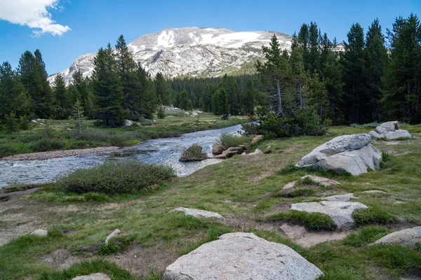 Fiume Dana Fork nel Parco Nazionale dello Yosemite in una giornata estiva soleggiata — Foto Stock