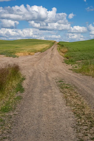 Unpaved dirt farm road through the Palouse region of Eastern Was — Stock Photo, Image