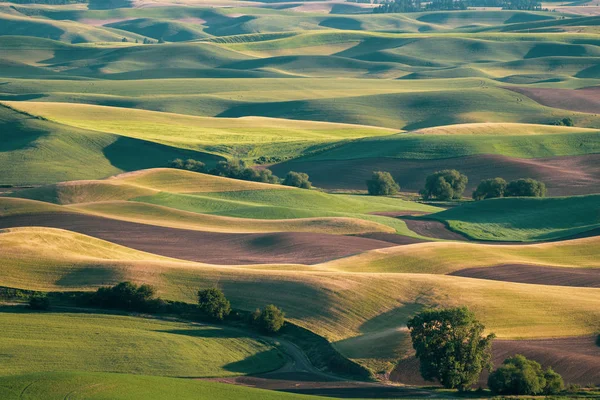 Steptoe Butte gelen Palouse havadan görünümü, gösteren 