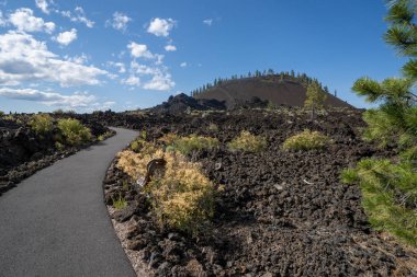Lava Butte Görünümü Lava Toprakları Newberry Ulusal Volkanik M