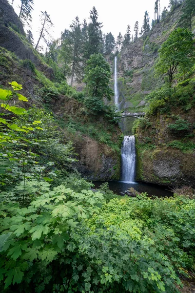 Multnomah Falls na área cênica Columbia River George em Oreg — Fotografia de Stock