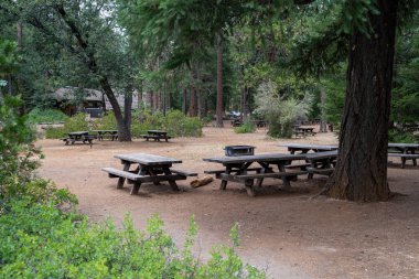 Mcarthur Burney Falls Stat masa ve ızgara ile Piknik alanı