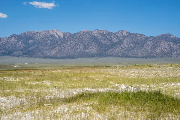Glass Mountain Ridge, Kaliforniya'daki Beyaz Dağlar'ın bir parçası,