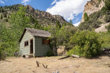 Idaho Bayhorse Ghost Town de Terk edilmiş kulübe