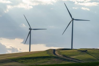 Pal 'ın tarlalarında rüzgar türbinleri ya da yel değirmenleri