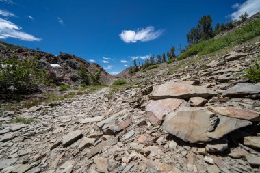 Kaliforniya 'nın doğu Sierra Nevada dağlarında Tioga Geçidi yakınlarındaki 20 Lakes Havzası döngü yolu boyunca kayalık arazi ve talus kayaları var.