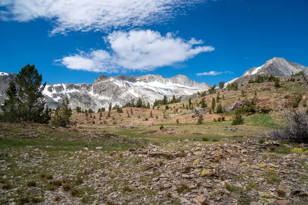 カリフォルニア州のシエラネバダ山脈の20レイクス盆地トレイルに沿った高い高山草原の風景 — ストック写真