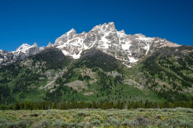 Wyoming 'deki Grand Teton Ulusal Parkı' nda Jackson Hole yakınlarındaki Hte Tetons 'un güzel dağ zirveleri. Mavi gökyüzü açık güneşli bir gün