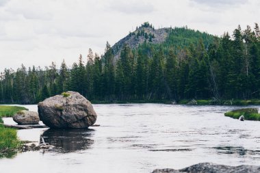 Madison Nehri, Wyoming ve Montana 'daki milli parkın batı Yellowstone girişinde yer alıyor.