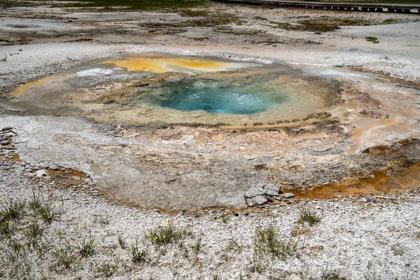 Bubbling Mustard Spring Gelegen Het Biscuit Basin Een Geothermische Functie — Stockfoto