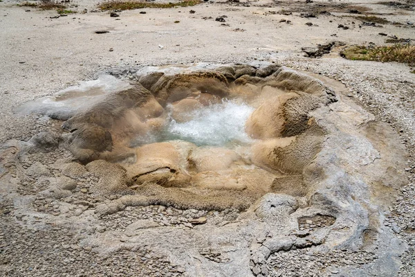 Shell Spring Ein Sprudelnder Thermalgeysir Biscuit Basin Einem Thermalgebiet Des — Stockfoto