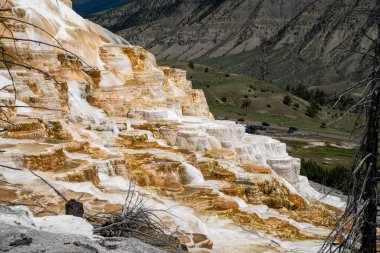Yellowstone Ulusal Parkı 'nda Mamut Kaplıcaları' na bakan kaplıcalar