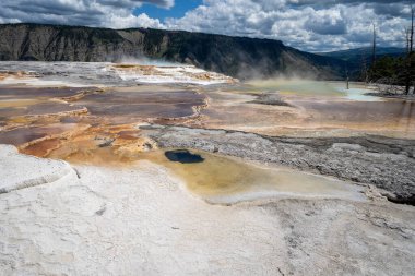 Yellowstone Ulusal Parkı Wyoming 'deki Mamut Kaplıcalarının üst teraslarında renkli Kanarya Baharı
