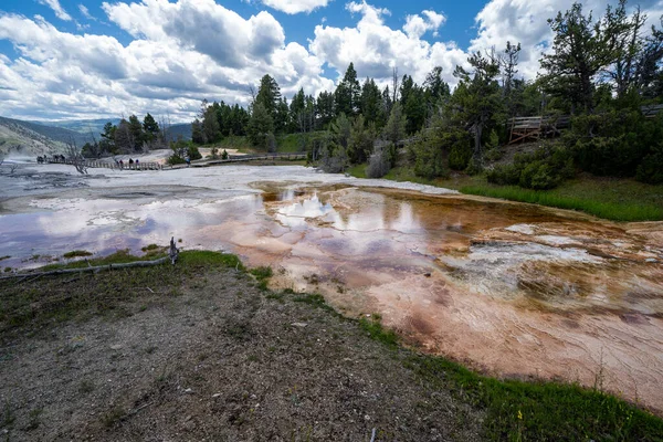 Primavera Herbosa Una Característica Geotérmica Aguas Termales Las Terrazas Superiores — Foto de Stock