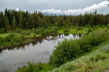 Grand Teton Ulusal Parkı 'ndaki Moose-Wilson Yolu' ndaki Yılan Nehri. Sakin nehir suyu