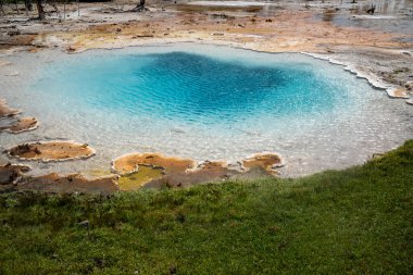 Özgürlük Baharı, Yellowstone Ulusal Parkı 'nın Çeşme Boya Otu bölgesinde sıcak bir jeotermal havuz.