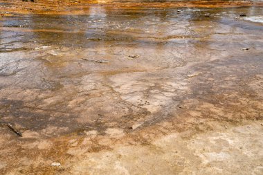 Bakteri Mat termal özelliği, Yellowstone Ulusal Parkı 'nın Çeşme Boyası Ot patikası bölgesinde yer almaktadır.