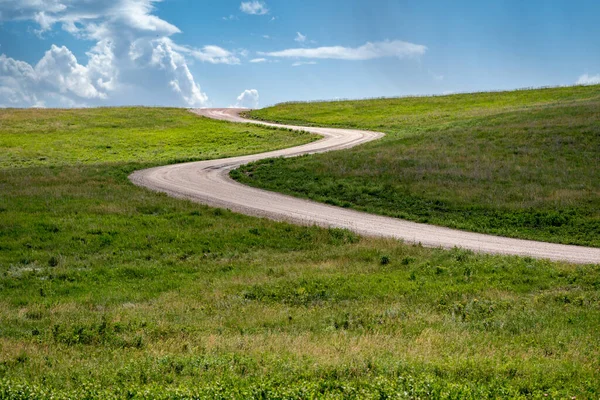 Minimalist landscape photo of prairie grassland in Custer State Park with blue sky clouds, as the road winds through