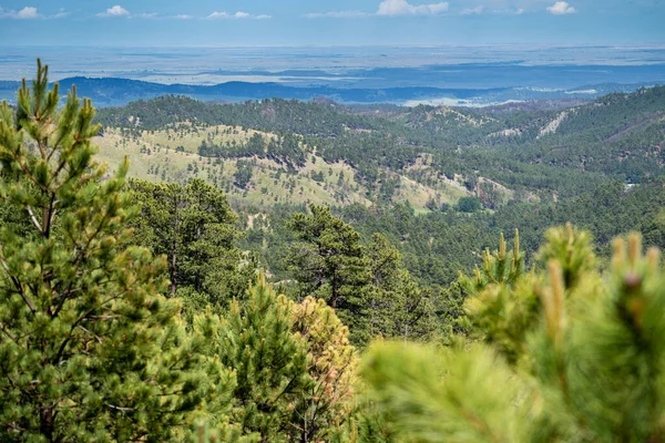 Zdjęcia Lotnicze Zrobione Punktu Widokowego Custer State Park Dakota Południowa — Zdjęcie stockowe