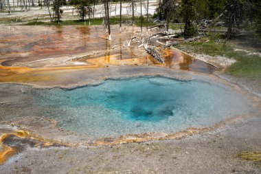 Firehole Spring, Yellowstone Ulusal Parkı 'ndaki Firehole Gölü Yolu boyunca uzanan sıcak kaynak termal özelliği.