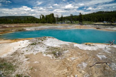 Siyah Elmas Havuzu pınarı, Yellowstone Ulusal Parkı 'nın jeotermal özellikli bir alanı olan Bisküvi Havzası' nda yer alıyor.