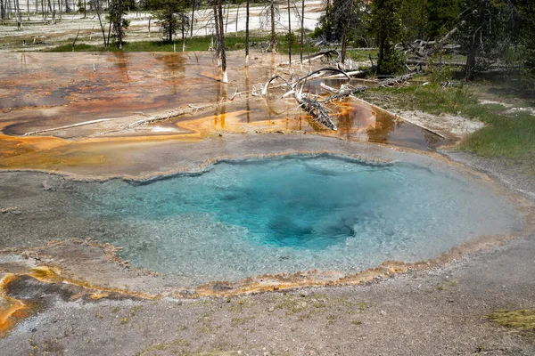 Firehole Spring Een Warmwaterbron Thermische Functie Langs Firehole Lake Drive — Stockfoto