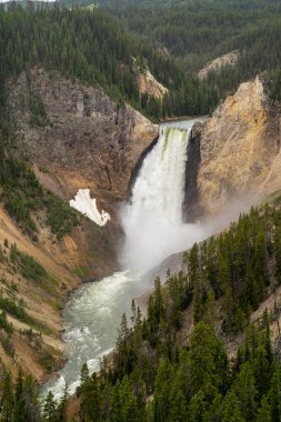 Yellowstone 'un aşağı kısmındaki Büyük Kanyon Inspriation Point' ten şelale manzaralı.