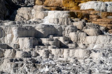 Yellowstone Ulusal Parkı 'nın Mamut Kaplıcaları' nın Travertine Terasları Parlak gün ışığında