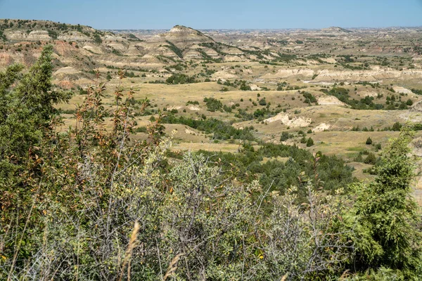 Kuzey Dakota 'daki Theodore Roosevelt Ulusal Parkı' na bakan çorak topraklar