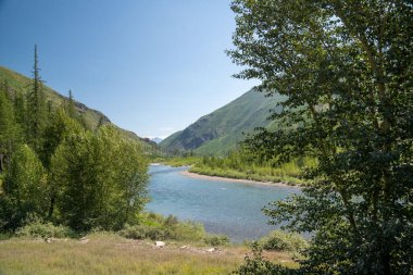 Montana Düzbaşlı Ulusal Ormanı 'ndaki Düz Kafalı Nehir' in Kuzey Çatalı yaz boyunca