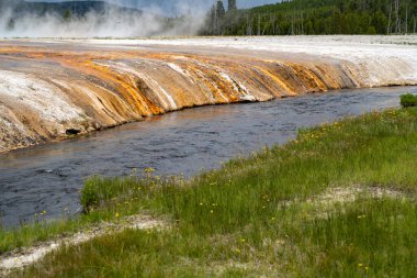 Yellowstone Ulusal Parkı 'ndaki Firehole Nehri, Kara Kum Havzası jeotermal alanındaki sıcak kaynaklardan görüldüğü gibi.