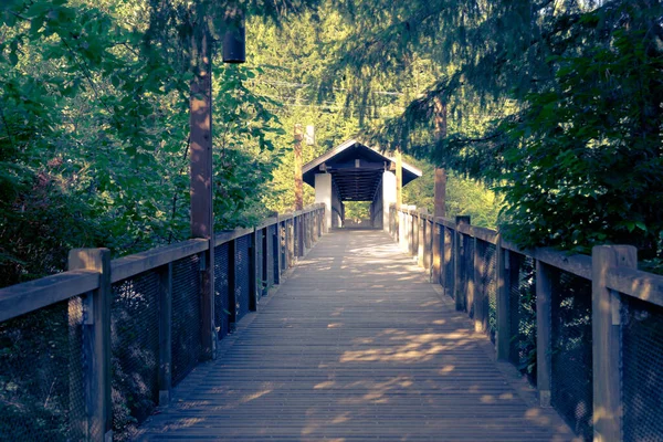Πεζογέφυρα Για Τους Πεζούς Πηγαίνει Από Πάρκινγκ Στο Snoqualmie Falls — Φωτογραφία Αρχείου