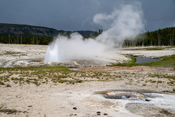 Cliff Geyser Haciendo Erupción Vomitando Vapor Agua Caliente Tierra Parque —  Fotos de Stock