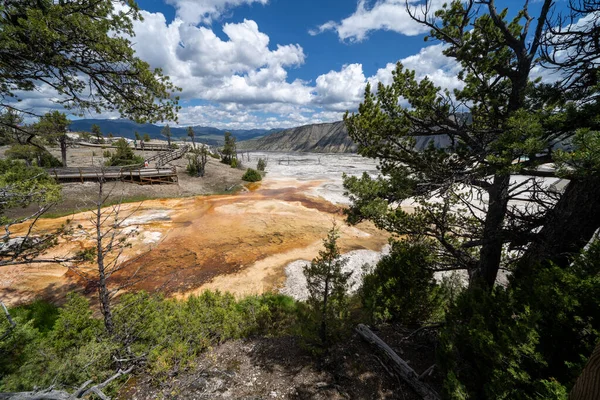 Muestra Hermosa Zona Mammoth Hot Springs Del Parque Nacional Yellowstone — Foto de Stock