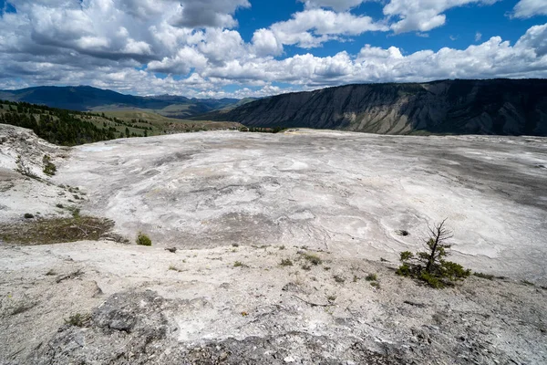 Las Terrazas Travertino Superior Blanqueadas Mammoth Hot Springs Parque Nacional — Foto de Stock