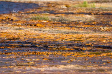 Wyoming, Thermopolis 'teki Hot Springs State Park' taki maden kaplıcalarının soyut güzelliği. Arkaplan için kullanışlı
