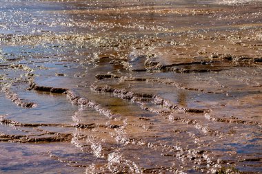 Yellowstone Ulusal Parkı 'nın Mammoth Kaplıcaları bölgesindeki sıcak kaynak teraslarının üzerinden parlayan maden suyu akar. Soyut görünüm, arka planlar için kullanışlı