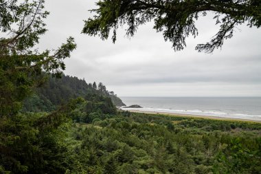 Beard Hollow, Cape Hayal Kırıklığı Eyalet Parkı, Washington Eyaleti
