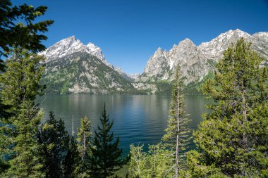 Güzel güneşli yaz günü Grand Teton Ulusal Parkı 'ndaki Jenny Gölü manzarası