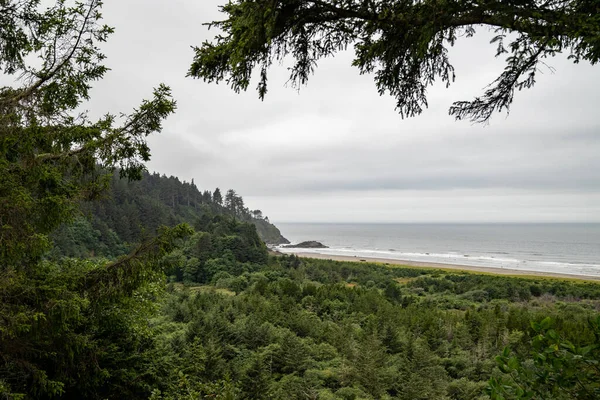 Vousy Duté Pohled Cape Zklamání State Park Washington State — Stock fotografie