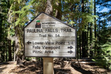 Bend, Oregon - 3 Ağustos 2020 Newberry Volkan Ulusal Anıtı 'nda popüler bir şelale olan Paulina Şelalesi için imza günü