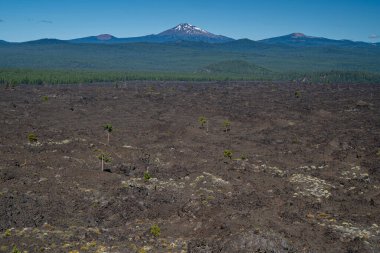 Lava Lands Newberry Ulusal Anıtı 'ndaki Phil Brogan bakış açısından lav akışının görüntüsü. Mt. Arka planda bekar