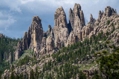 Güney Dakota 'daki Needles Otoyolu' ndaki Custer State Park 'ta güzel kuleler oluşmuş.