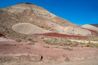 John Day Fosil Yatakları - Güneşli bir yaz gününde Boyalı Tepeler Ünitesi