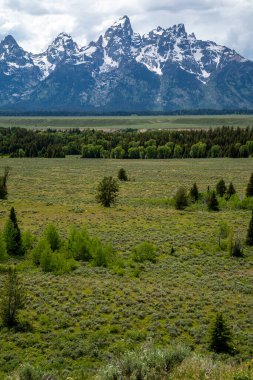 Grand Teton Ulusal Parkı 'ndaki Teton Point Katılım Manzarası Wyoming' deki güzel ve engebeli dağların