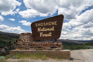 Dubois, Wyoming - 24 Haziran 2020 Wyoming 'de korunan Shoshone Ulusal Ormanı için imza.