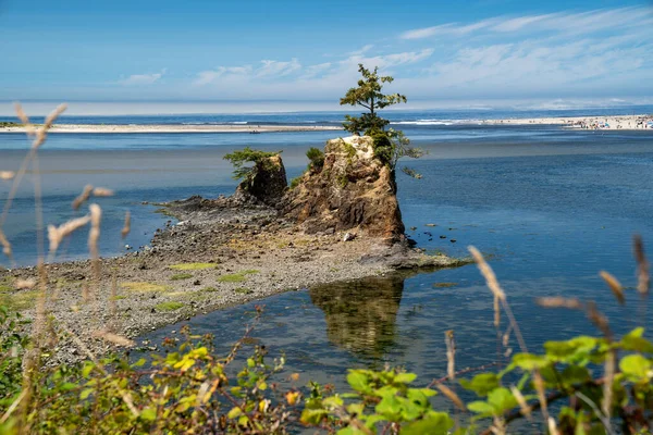 Siletz Bay Vista Point Κατά Μήκος Της Ακτής Του Όρεγκον — Φωτογραφία Αρχείου