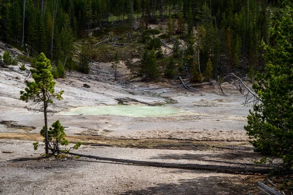 Friggere Pan Springs Nel Parco Nazionale Yellowstone — Foto Stock