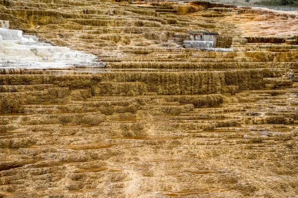 Terrazas Minerales Formaciones Mammoth Hot Springs Parque Nacional Yellowstone — Foto de Stock